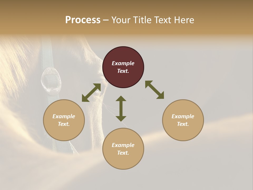 Face Stallion Outdoor PowerPoint Template