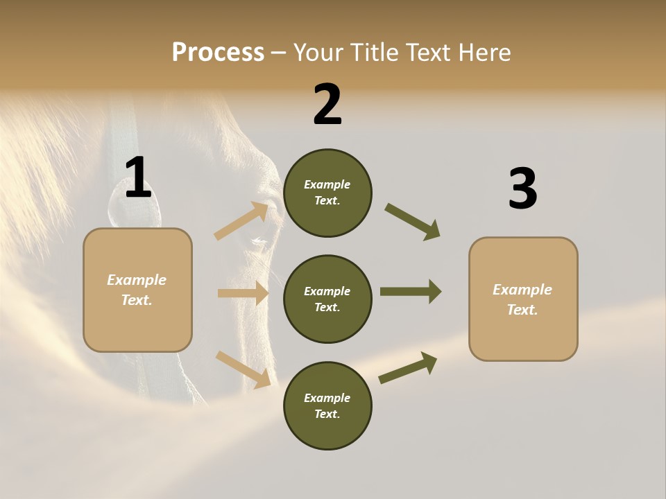Face Stallion Outdoor PowerPoint Template