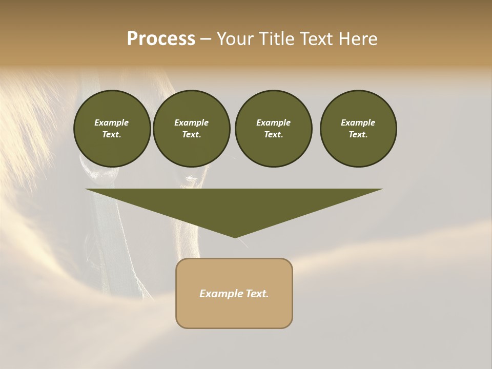 Face Stallion Outdoor PowerPoint Template