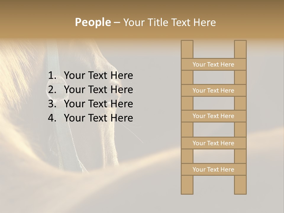 Face Stallion Outdoor PowerPoint Template