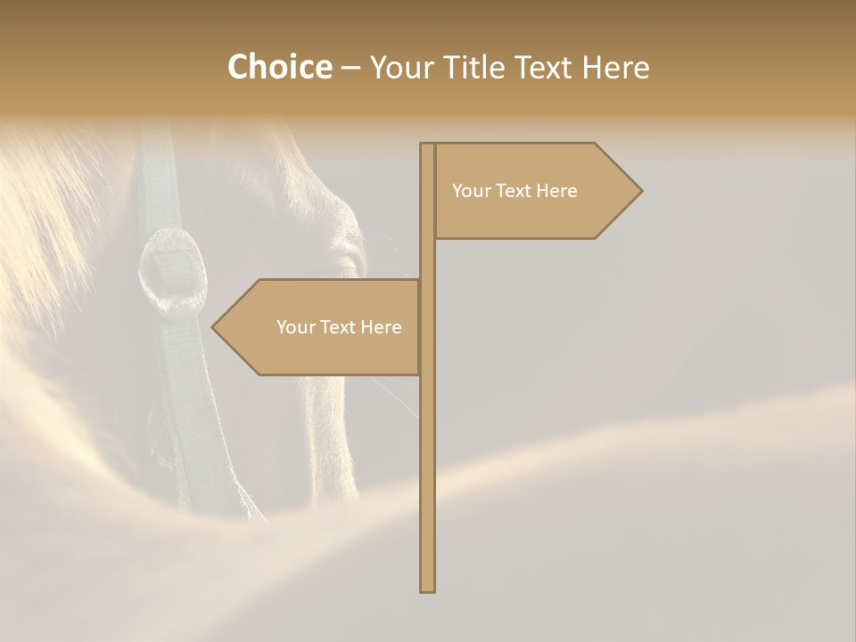 Face Stallion Outdoor PowerPoint Template