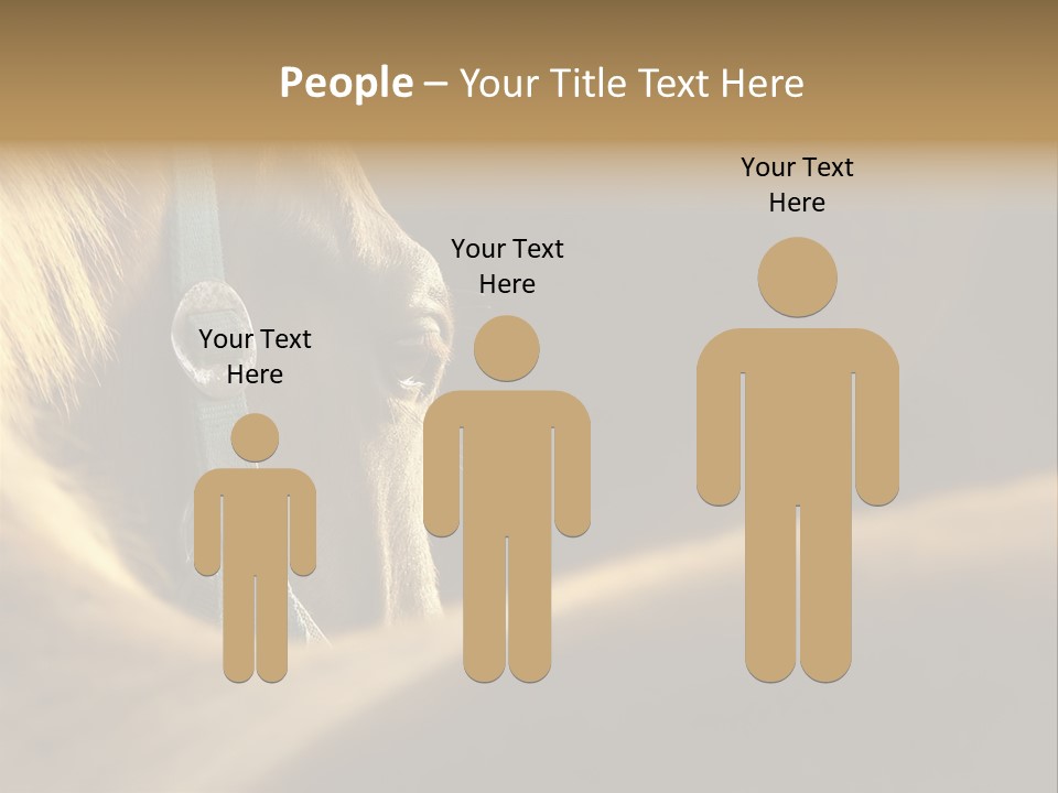 Face Stallion Outdoor PowerPoint Template