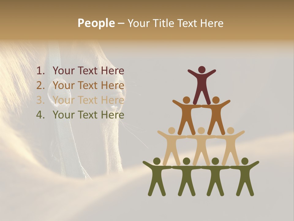 Face Stallion Outdoor PowerPoint Template