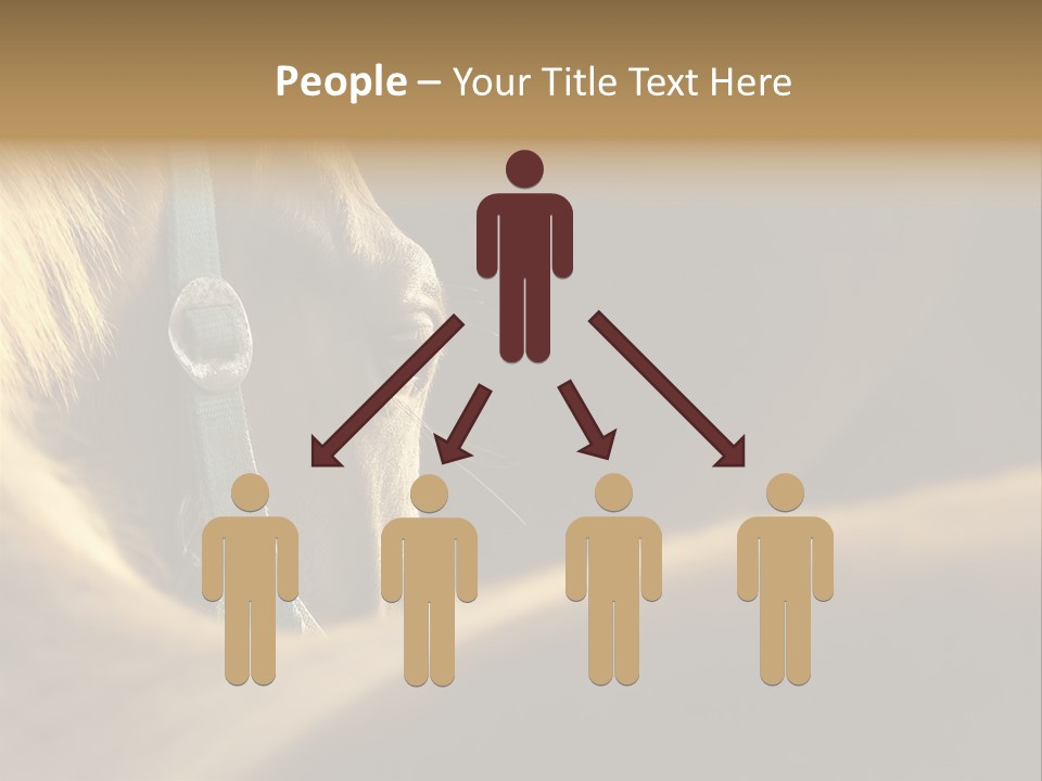 Face Stallion Outdoor PowerPoint Template