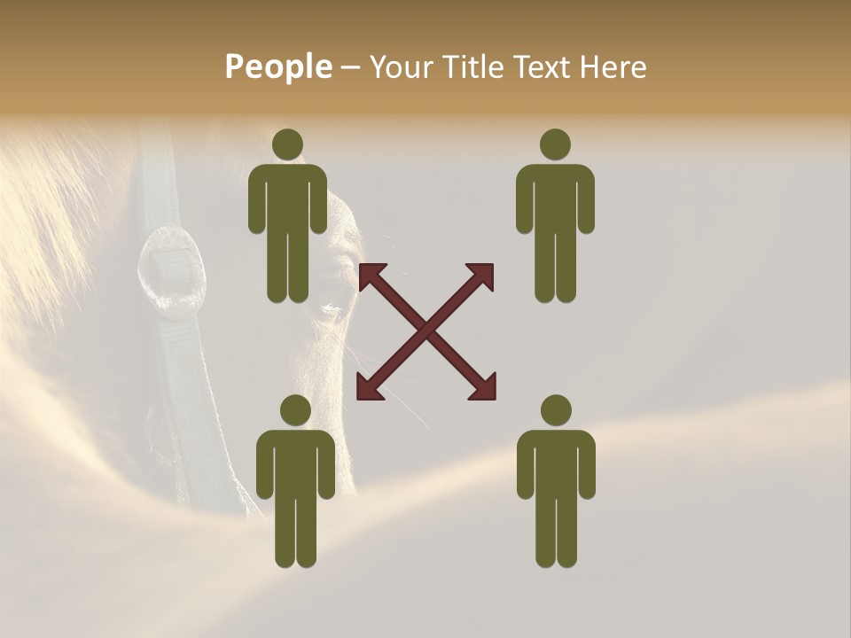 Face Stallion Outdoor PowerPoint Template