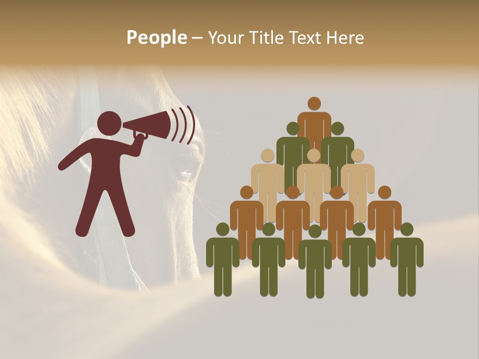 Face Stallion Outdoor PowerPoint Template