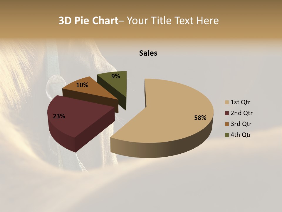 Face Stallion Outdoor PowerPoint Template