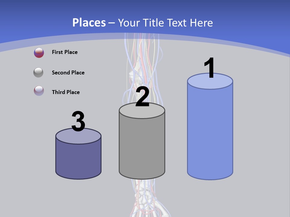 Elbow Red Science PowerPoint Template