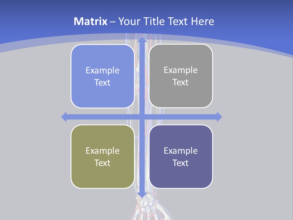 Elbow Red Science PowerPoint Template
