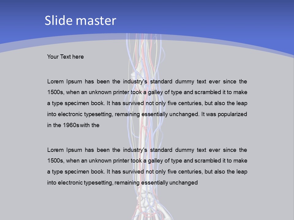 Elbow Red Science PowerPoint Template