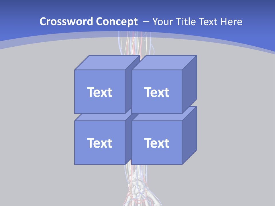 Elbow Red Science PowerPoint Template