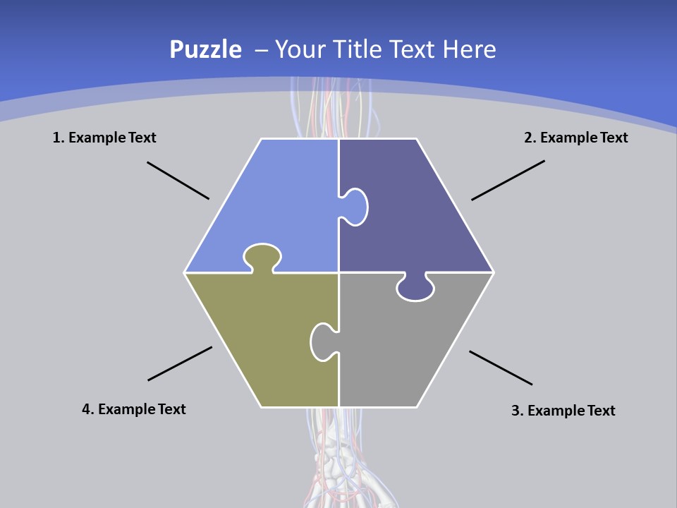 Elbow Red Science PowerPoint Template