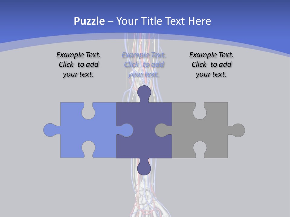 Elbow Red Science PowerPoint Template