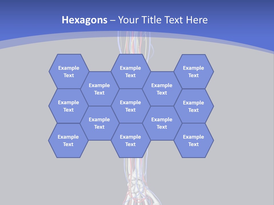 Elbow Red Science PowerPoint Template