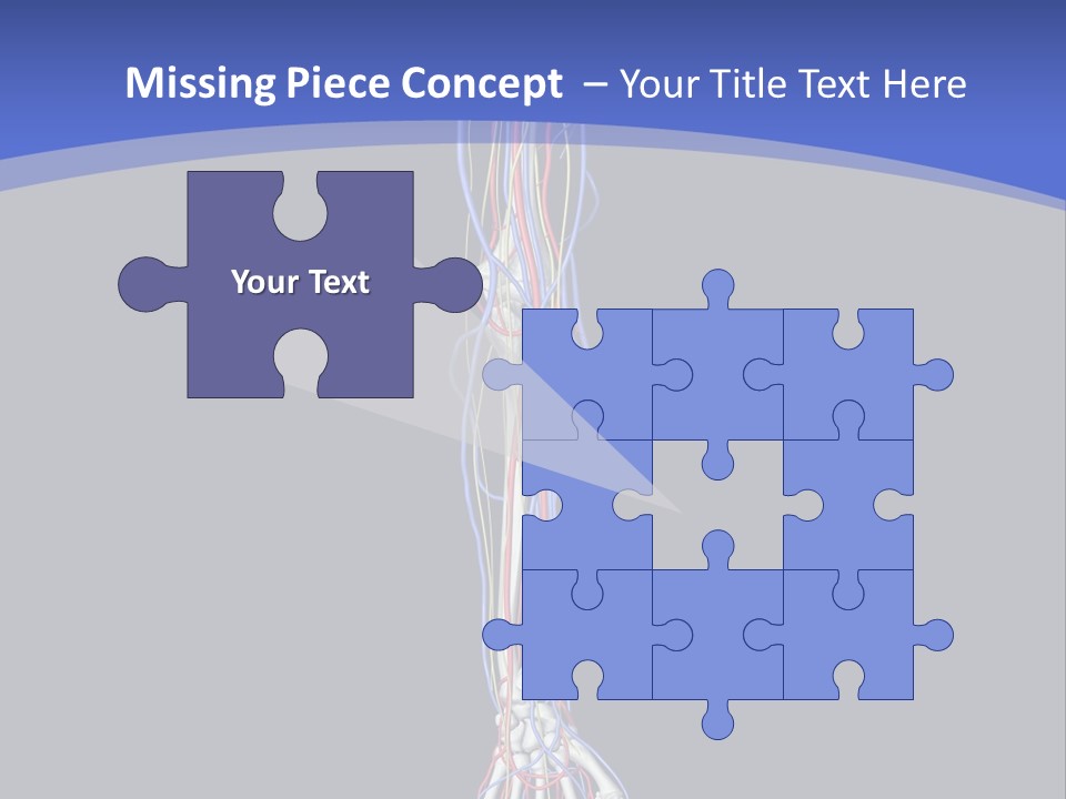 Elbow Red Science PowerPoint Template