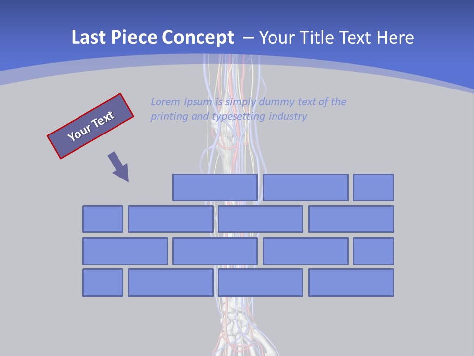 Elbow Red Science PowerPoint Template