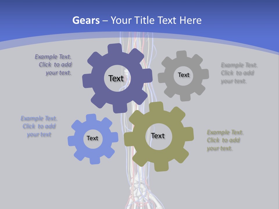 Elbow Red Science PowerPoint Template