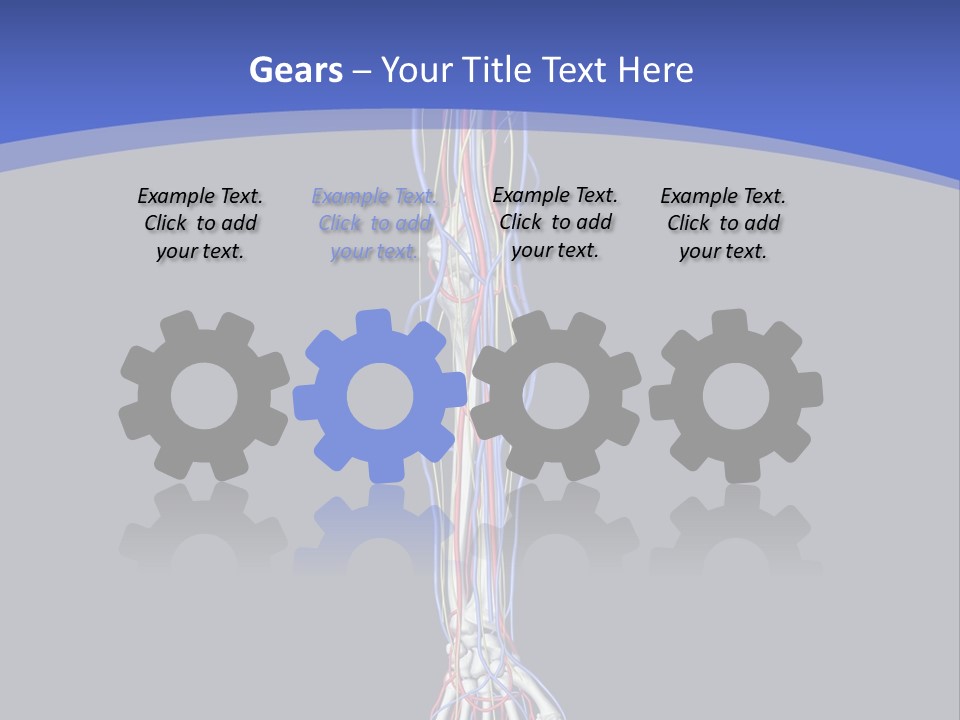 Elbow Red Science PowerPoint Template