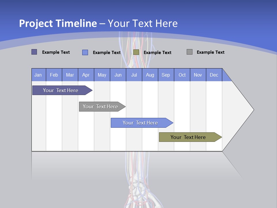 Elbow Red Science PowerPoint Template