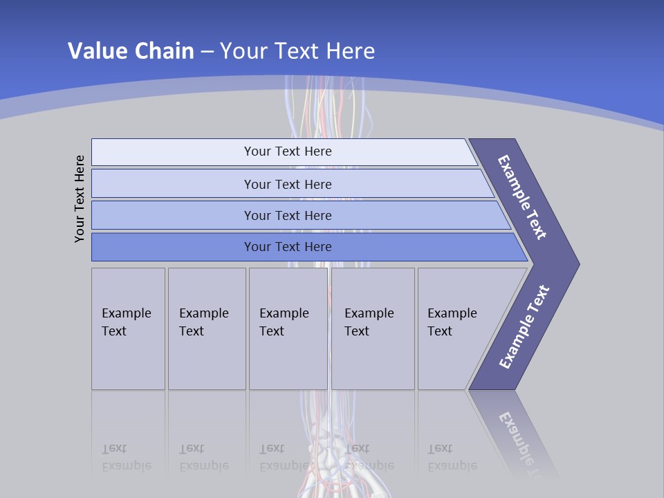 Elbow Red Science PowerPoint Template
