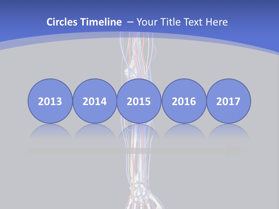 Elbow Red Science PowerPoint Template