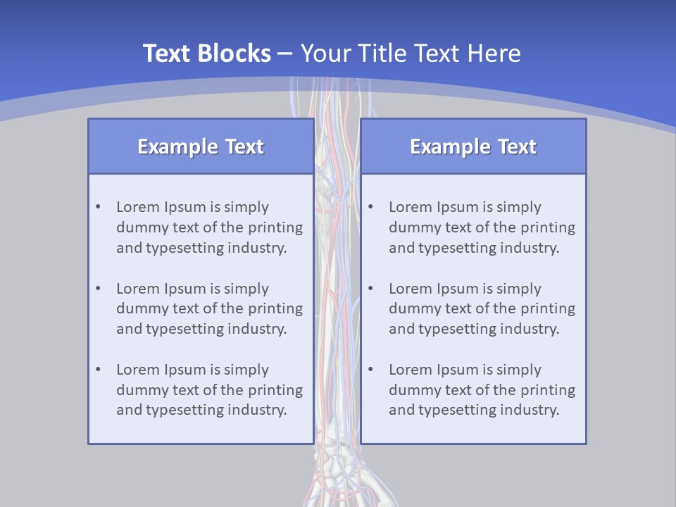 Elbow Red Science PowerPoint Template