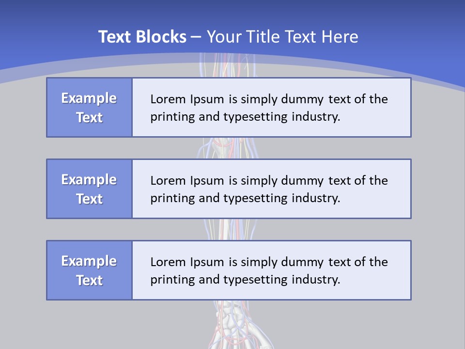 Elbow Red Science PowerPoint Template
