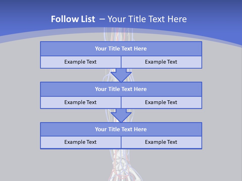 Elbow Red Science PowerPoint Template
