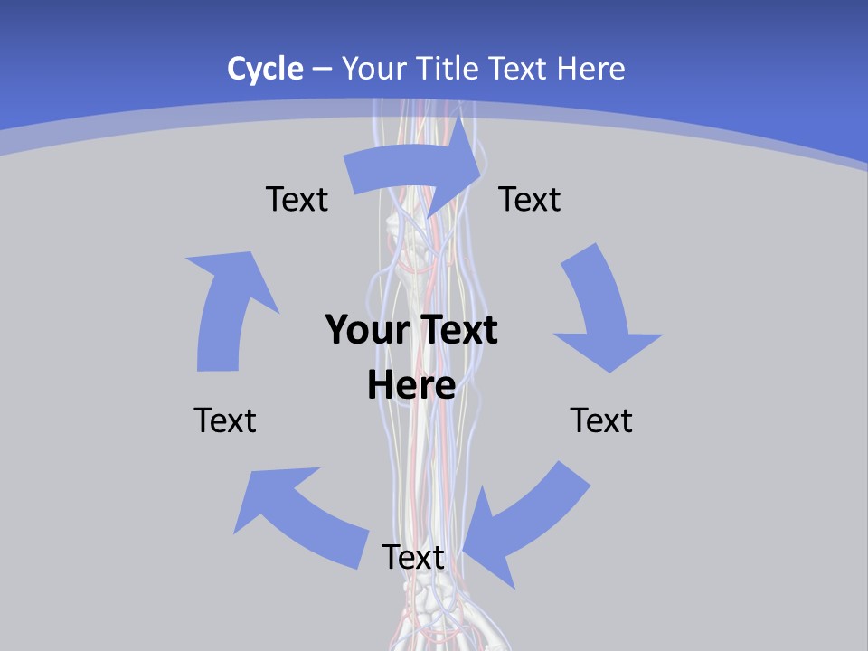 Elbow Red Science PowerPoint Template