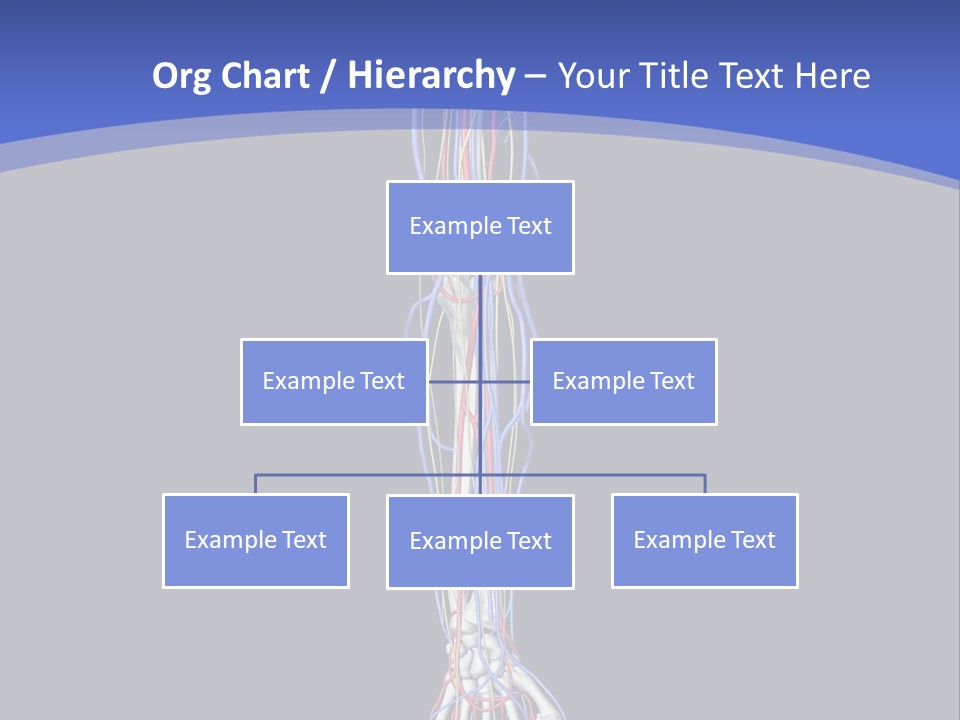 Elbow Red Science PowerPoint Template