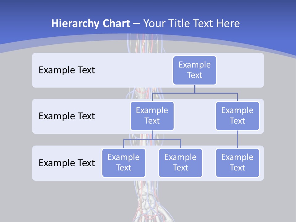 Elbow Red Science PowerPoint Template