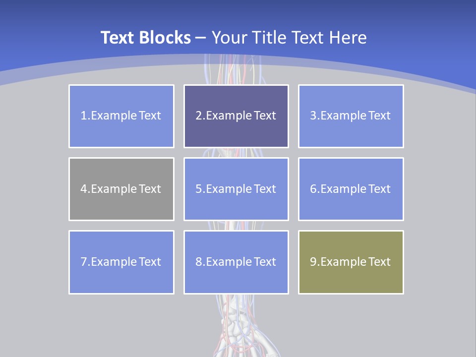 Elbow Red Science PowerPoint Template