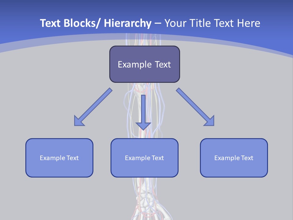 Elbow Red Science PowerPoint Template