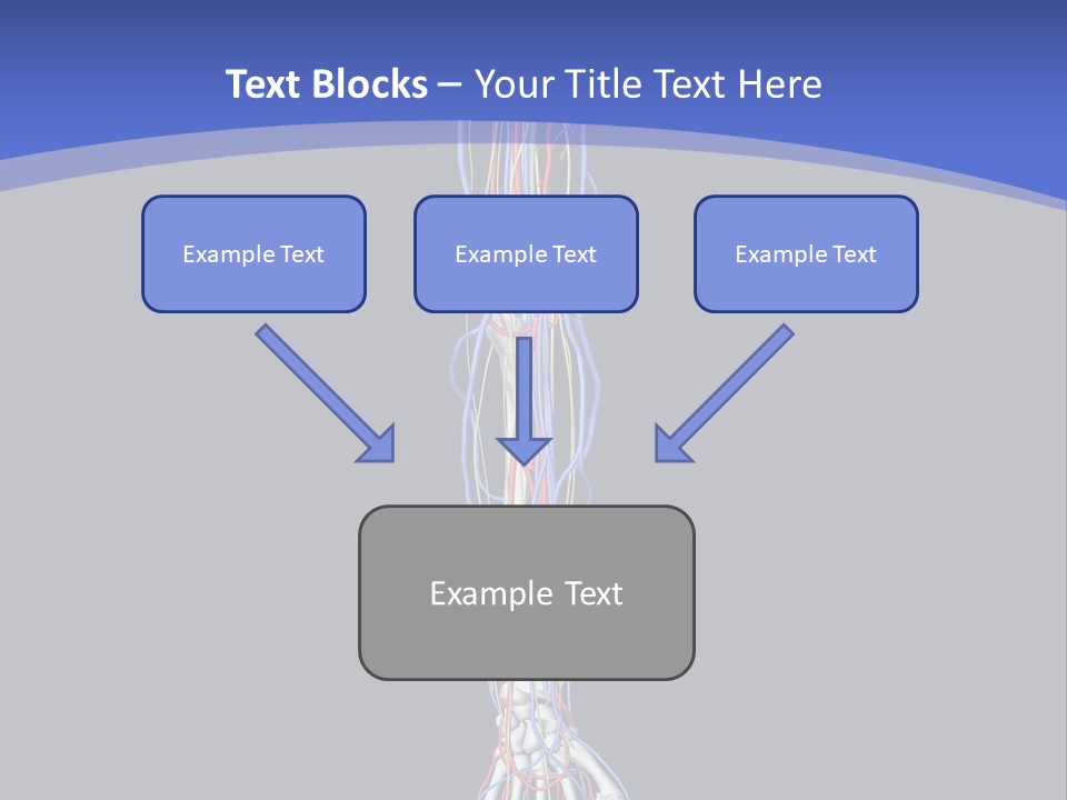 Elbow Red Science PowerPoint Template