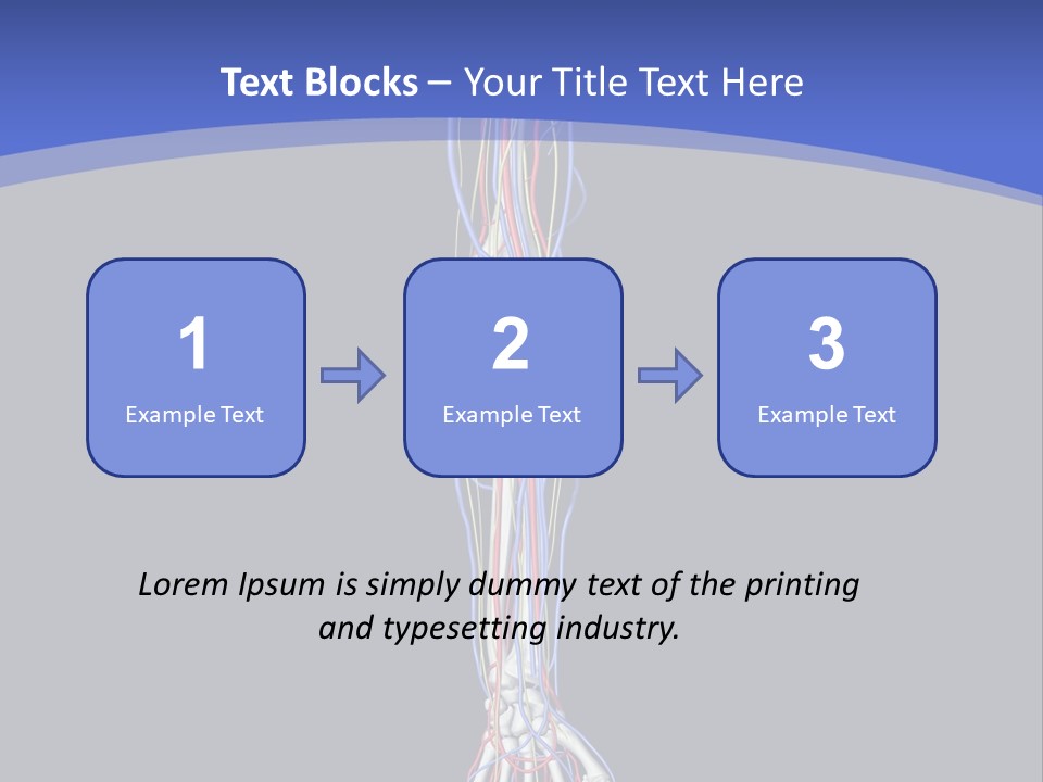 Elbow Red Science PowerPoint Template