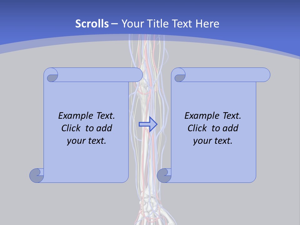 Elbow Red Science PowerPoint Template