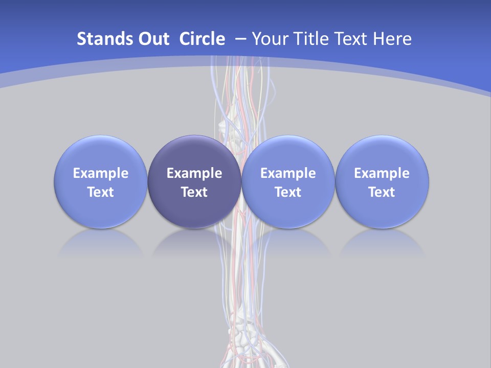 Elbow Red Science PowerPoint Template