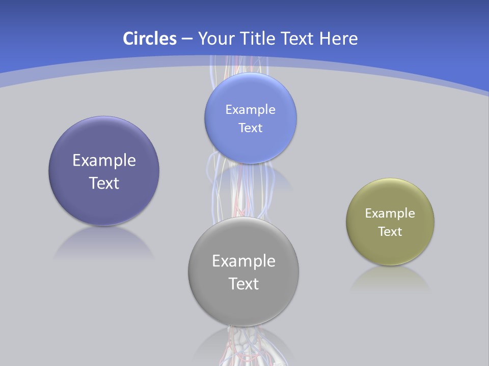 Elbow Red Science PowerPoint Template