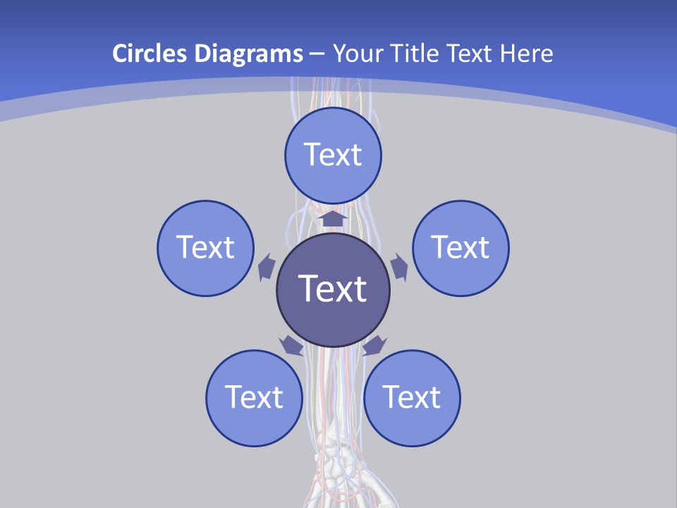 Elbow Red Science PowerPoint Template