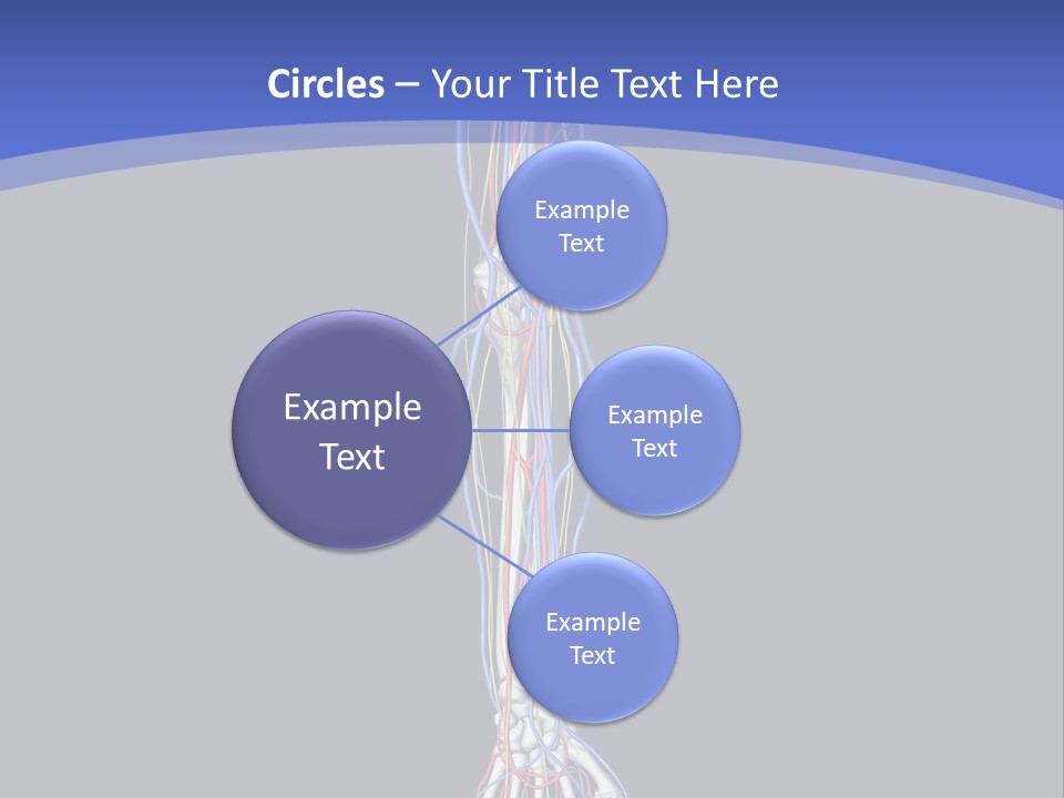 Elbow Red Science PowerPoint Template