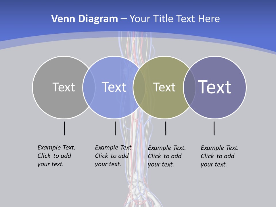 Elbow Red Science PowerPoint Template
