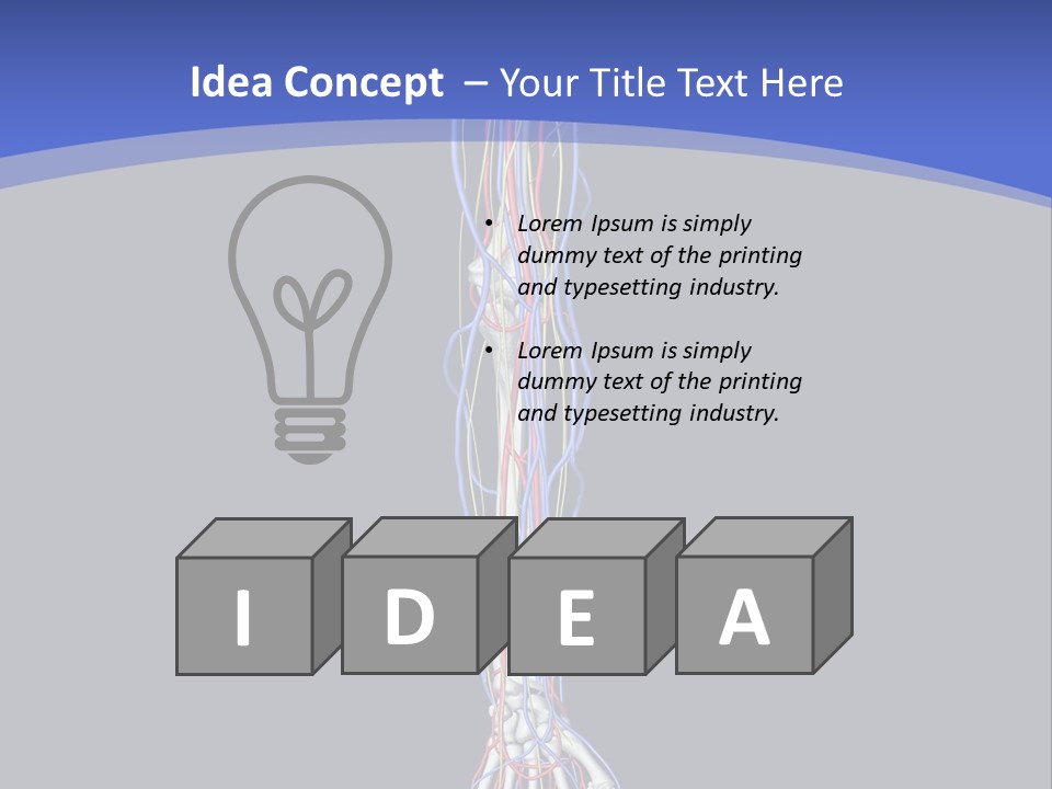 Elbow Red Science PowerPoint Template