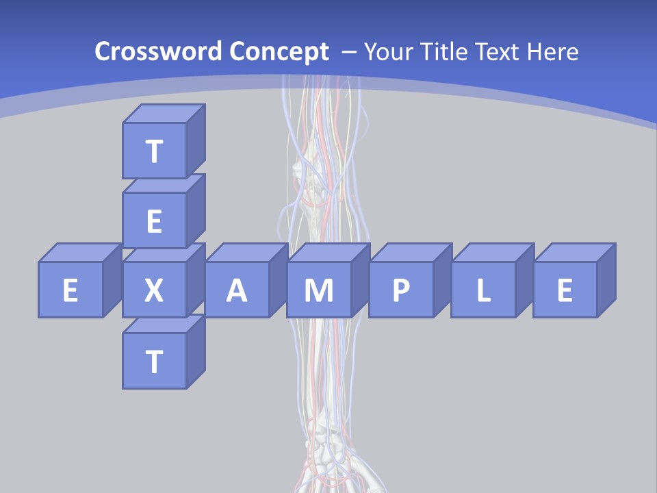 Elbow Red Science PowerPoint Template