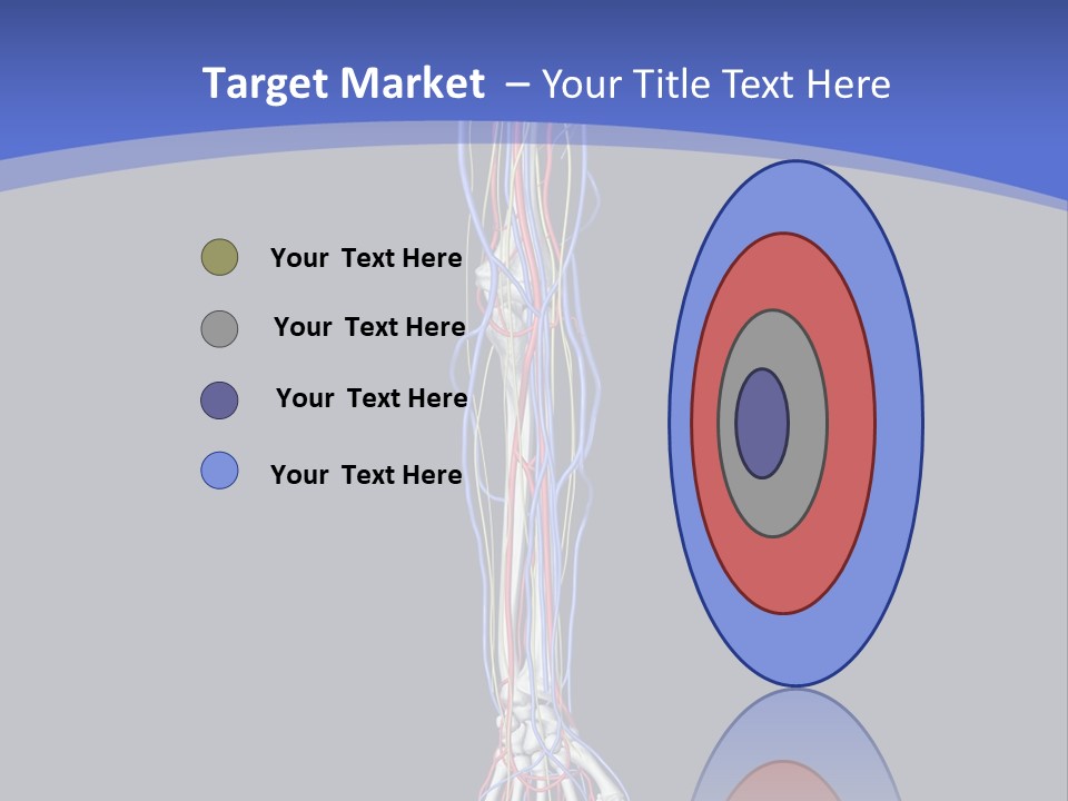 Elbow Red Science PowerPoint Template