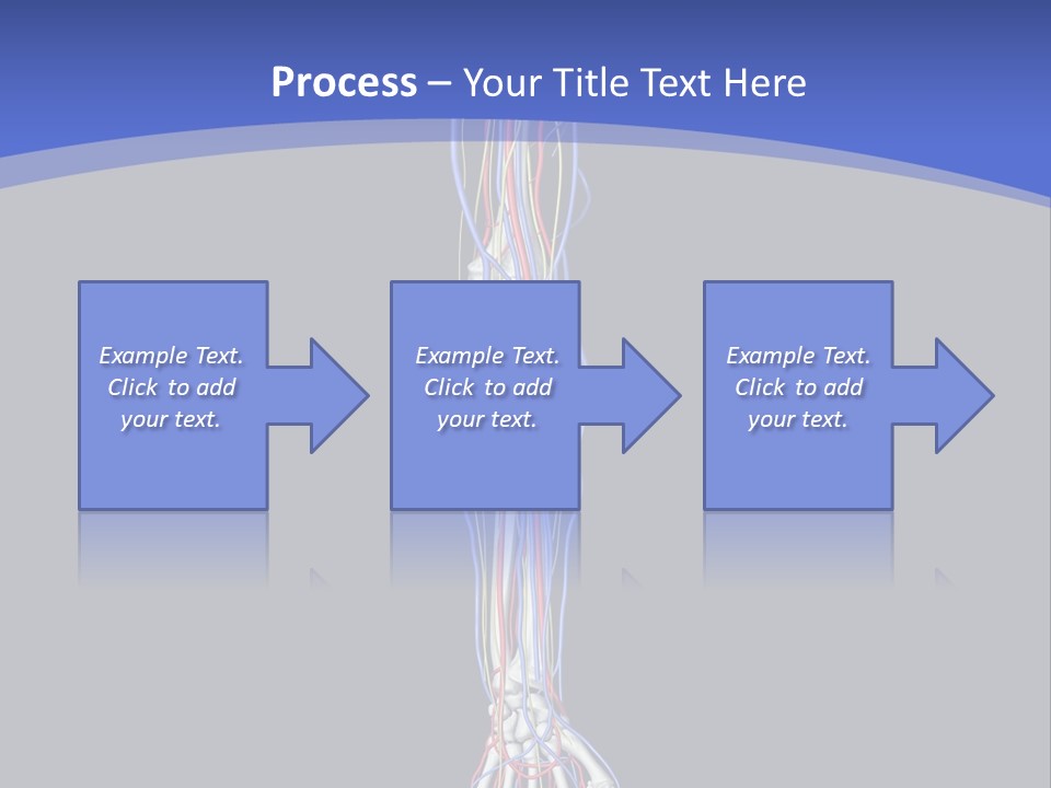 Elbow Red Science PowerPoint Template