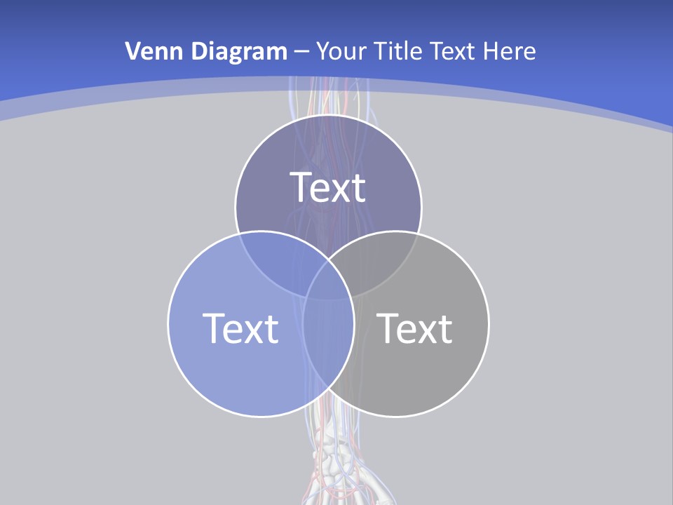 Elbow Red Science PowerPoint Template