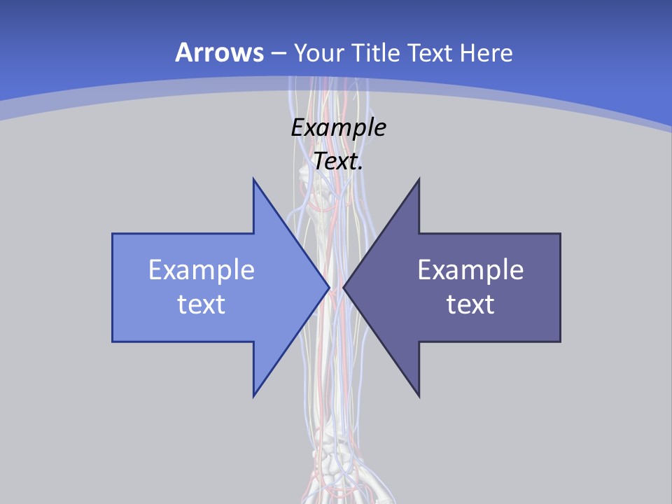 Elbow Red Science PowerPoint Template