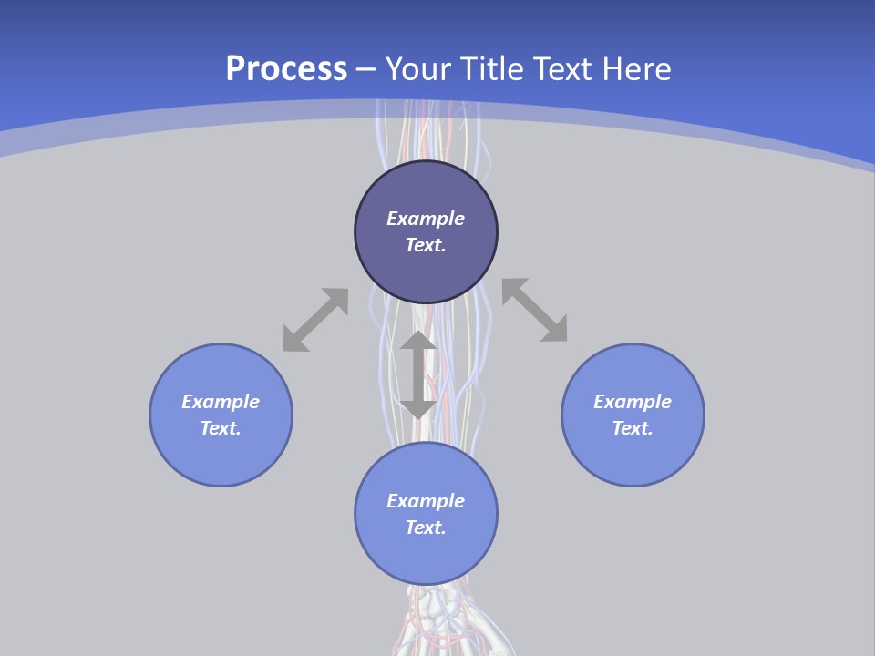 Elbow Red Science PowerPoint Template
