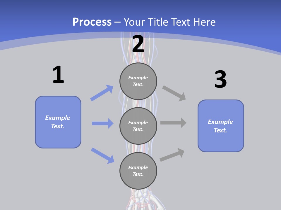 Elbow Red Science PowerPoint Template