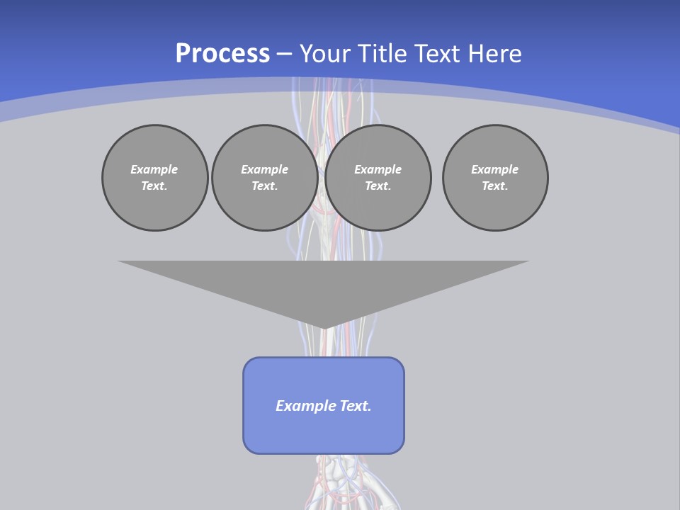 Elbow Red Science PowerPoint Template